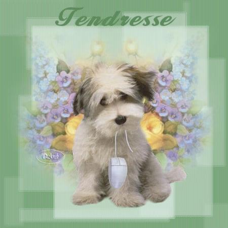Tendresse